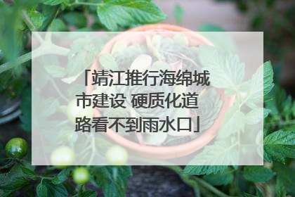 靖江推行海绵城市建设 硬质化道路看不到雨水口