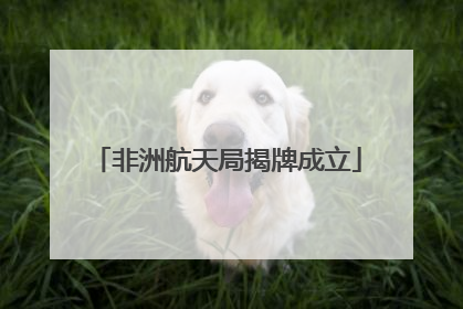 非洲航天局揭牌成立