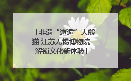 非遗“邂逅”大熊猫 江苏无锡博物院解锁文化新体验