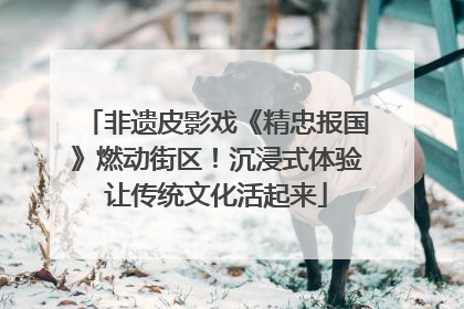 非遗皮影戏《精忠报国》燃动街区！沉浸式体验让传统文化活起来