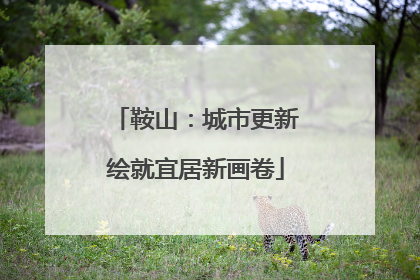 鞍山：城市更新绘就宜居新画卷