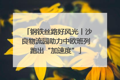 钢铁丝路好风光丨沙良物流园助力中欧班列跑出“加速度”