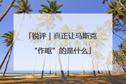 锐评｜真正让马斯克“作呕”的是什么