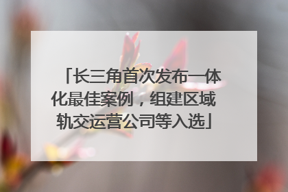 长三角首次发布一体化最佳案例，组建区域轨交运营公司等入选