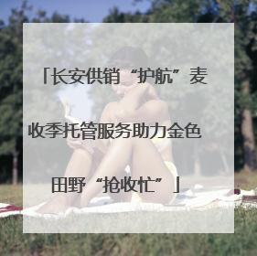 长安供销“护航”麦收季托管服务助力金色田野“抢收忙”