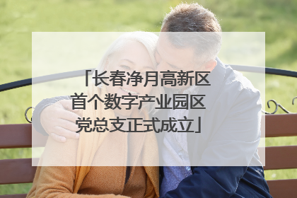 长春净月高新区首个数字产业园区党总支正式成立