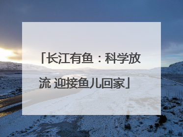长江有鱼：科学放流 迎接鱼儿回家