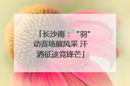 长沙南：“羽”动赛场展风采 汗洒征途竞锋芒
