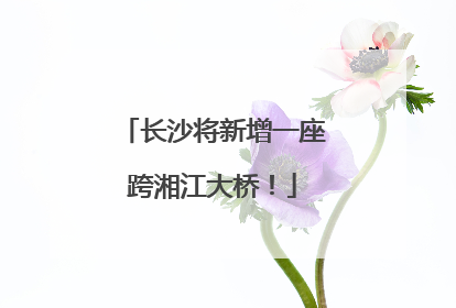 长沙将新增一座跨湘江大桥！