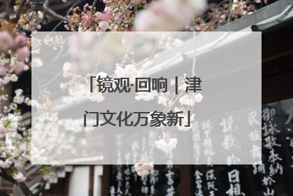 镜观·回响｜津门文化万象新