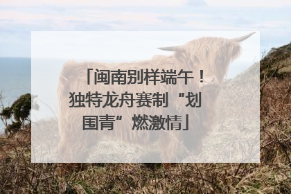 闽南别样端午！独特龙舟赛制“划围青”燃激情