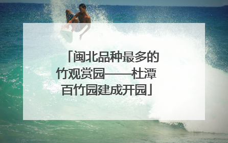 闽北品种最多的竹观赏园——杜潭百竹园建成开园