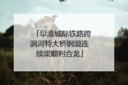 阜淮城际铁路跨涡河特大桥钢混连续梁顺利合龙