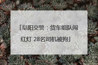 阜阳交警：货车组队闯红灯 28名司机被拘