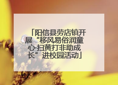 阳信县劳店镇开展“移风易俗润童心·扫黄打非助成长”进校园活动