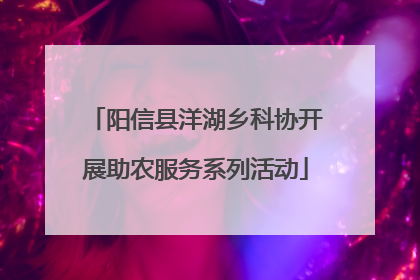 阳信县洋湖乡科协开展助农服务系列活动