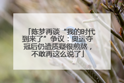 陈梦再谈“我的时代到来了”争议：奥运夺冠后仍遭质疑很煎熬，不敢再这么说了