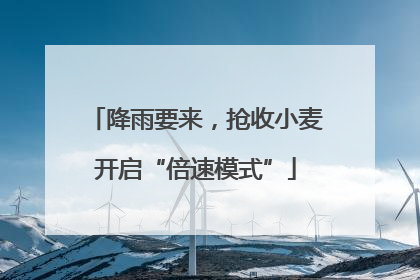 降雨要来，抢收小麦开启“倍速模式”