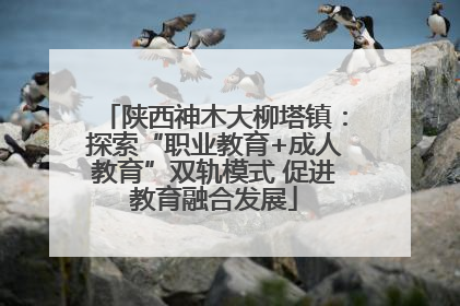 陕西神木大柳塔镇：探索“职业教育+成人教育”双轨模式 促进教育融合发展