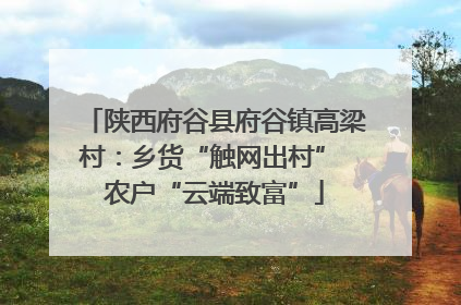陕西府谷县府谷镇高梁村：乡货“触网出村” 农户“云端致富”