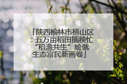 陕西榆林市横山区：五万亩稻田插秧忙 “稻渔共生”绘就生态富民新画卷
