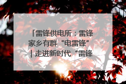 雷锋供电所：雷锋家乡有群“电雷锋”｜走进新时代“雷锋传人 长沙榜样”