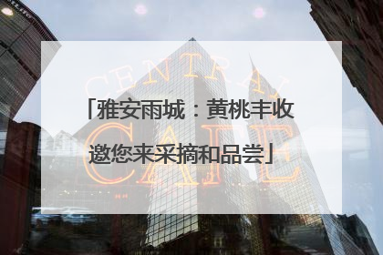 雅安雨城：黄桃丰收 邀您来采摘和品尝