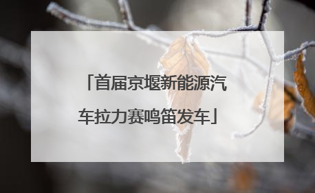 首届京堰新能源汽车拉力赛鸣笛发车
