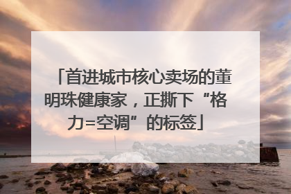 首进城市核心卖场的董明珠健康家，正撕下“格力=空调”的标签