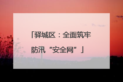 驿城区：全面筑牢防汛“安全网”
