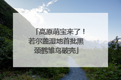 高原萌宝来了！若尔盖湿地首批黑颈鹤雏鸟破壳