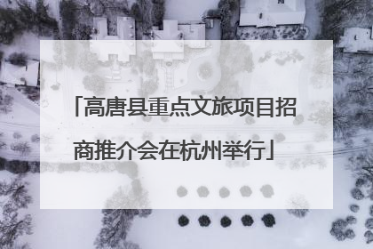高唐县重点文旅项目招商推介会在杭州举行