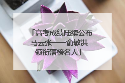 高考成绩陆续公布 马云张一一俞敏洪领衔落榜名人
