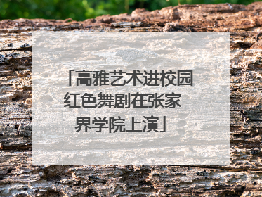 高雅艺术进校园 红色舞剧在张家界学院上演