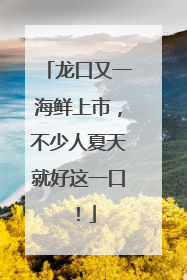 龙口又一海鲜上市，不少人夏天就好这一口！