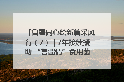 鲁疆同心绘新篇采风行（7）｜7年接续援助 “鲁疆情”食用菌从1.0走向4.0
