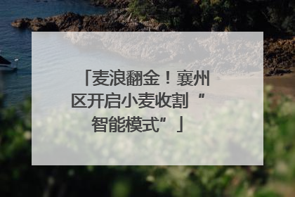 麦浪翻金！襄州区开启小麦收割“智能模式”