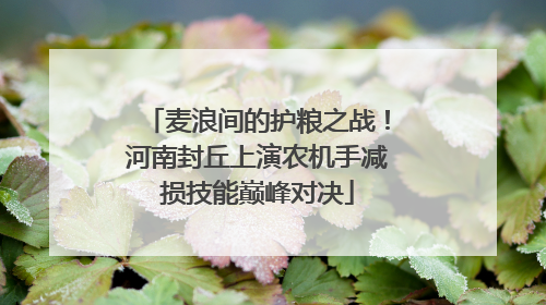 麦浪间的护粮之战！河南封丘上演农机手减损技能巅峰对决