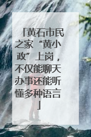 黄石市民之家“黄小政”上岗，不仅能聊天办事还能听懂多种语言