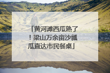黄河滩西瓜熟了！梁山万余亩沙瓤瓜直达市民餐桌