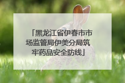 黑龙江省伊春市市场监管局伊美分局筑牢药品安全防线
