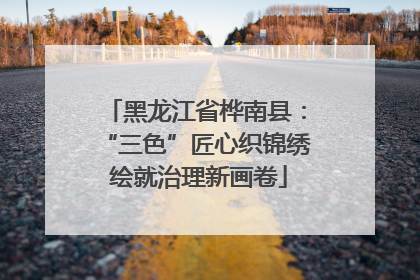 黑龙江省桦南县：“三色”匠心织锦绣 绘就治理新画卷