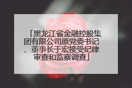 黑龙江省金融控股集团有限公司原党委书记、董事长于宏接受纪律审查和监察调查