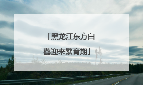 黑龙江东方白鹳迎来繁育期