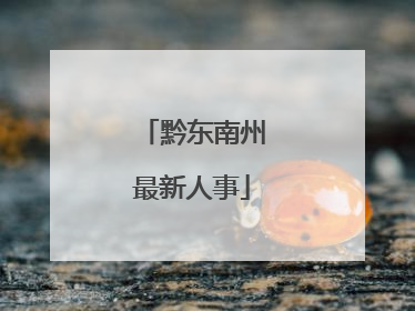 黔东南州最新人事