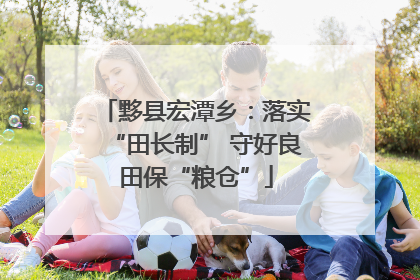 黟县宏潭乡：落实“田长制” 守好良田保“粮仓”