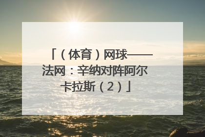（体育）网球——法网：辛纳对阵阿尔卡拉斯（2）