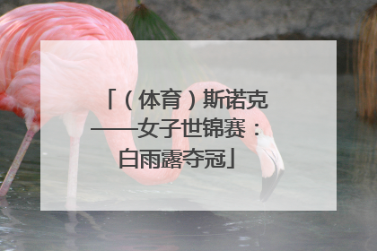（体育）斯诺克——女子世锦赛：白雨露夺冠