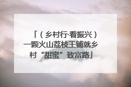 （乡村行·看振兴）一颗火山荔枝王铺就乡村“甜蜜”致富路