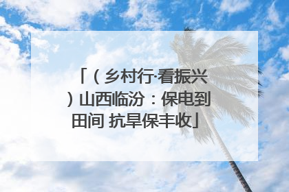 （乡村行·看振兴）山西临汾：保电到田间 抗旱保丰收